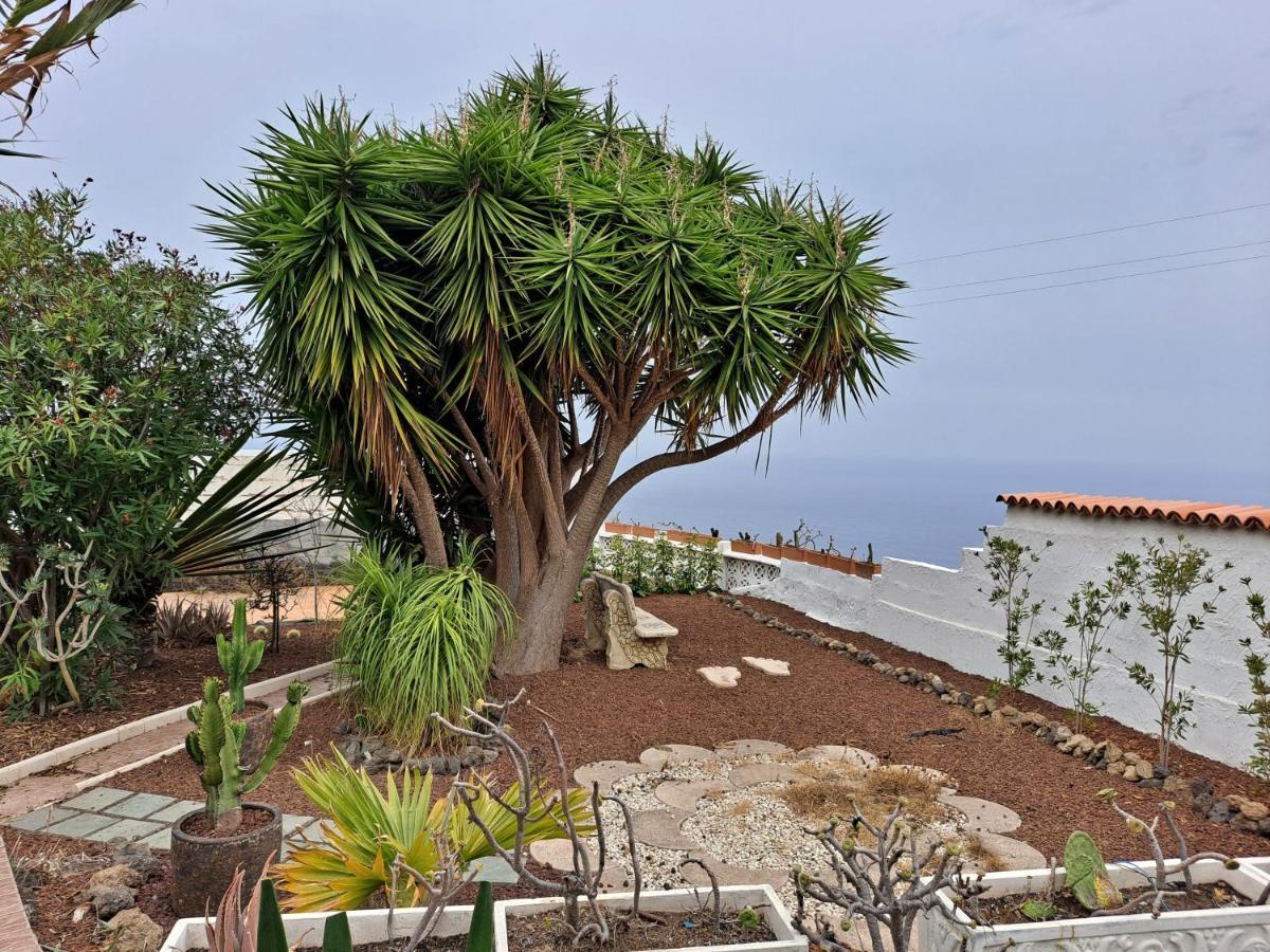 Tenerife Apartment 100M2 Casa De Don Quijote With A Terrace Of 100M2 With A View Of The Ocean And Teide Volcano And A Garden Of 600M2 Icod De Los Vinos Dış mekan fotoğraf