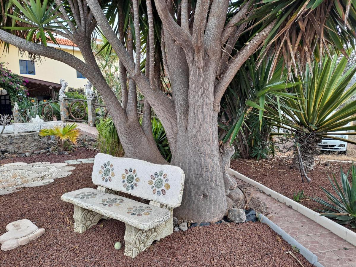 Tenerife Apartment 100M2 Casa De Don Quijote With A Terrace Of 100M2 With A View Of The Ocean And Teide Volcano And A Garden Of 600M2 Icod De Los Vinos Dış mekan fotoğraf