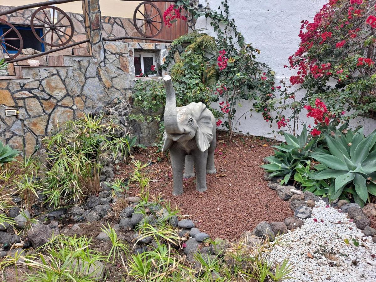 Tenerife Apartment 100M2 Casa De Don Quijote With A Terrace Of 100M2 With A View Of The Ocean And Teide Volcano And A Garden Of 600M2 Icod De Los Vinos Dış mekan fotoğraf