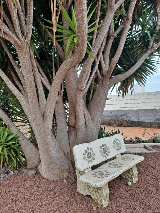 Tenerife Apartment 100M2 Casa De Don Quijote With A Terrace Of 100M2 With A View Of The Ocean And Teide Volcano And A Garden Of 600M2 Icod De Los Vinos Dış mekan fotoğraf